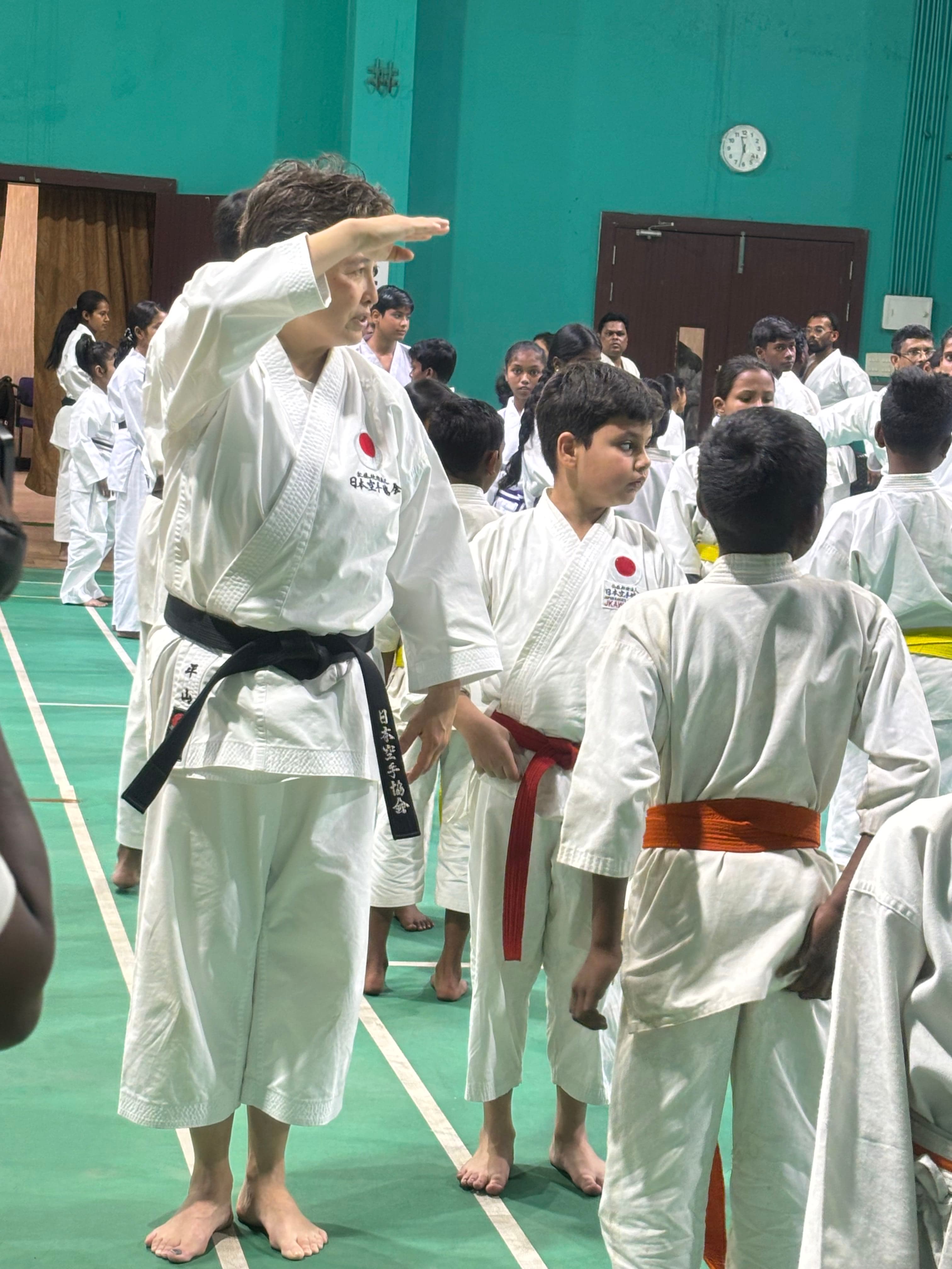 Karate training and instruction
